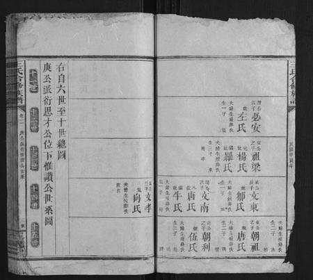 湖南王氏族谱-王氏合修族谱.pdf电子版插图3