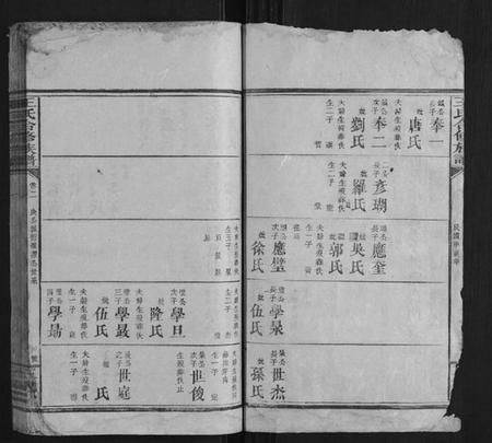 湖南王氏族谱-王氏合修族谱.pdf电子版插图4