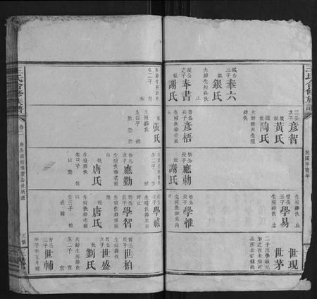 湖南王氏族谱-王氏合修族谱.pdf电子版插图5