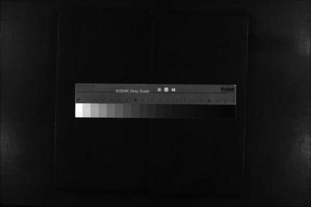 浙江严氏族谱-兰谿严氏宗谱 [10卷].pdf电子版