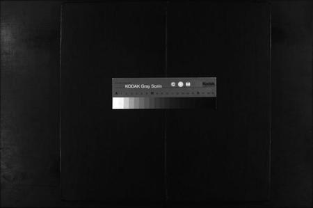 浙江严氏族谱-兰谿严氏宗谱 [10卷].pdf电子版插图