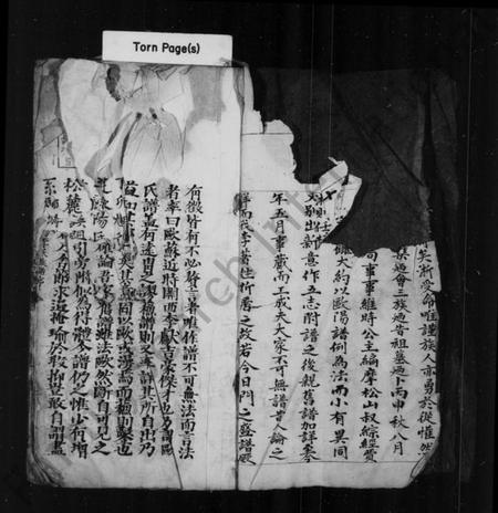 江西李氏族谱-重修李氏族谱.pdf电子版插图3