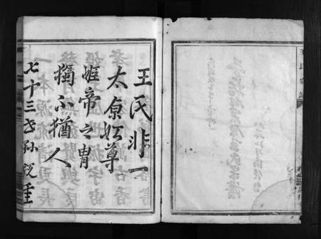 浙江王氏族谱-兰谿都心王氏重修宗谱 [6卷].pdf电子版插图3