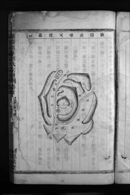 浙江胡氏族谱-兰谿顾峯胡氏宗谱 [8卷,首2卷].pdf电子版插图3