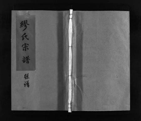 浙江缪氏族谱-兰陵缪氏宗谱 [不分卷].pdf电子版插图1