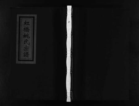 浙江姚氏族谱-虹桥姚氏宗谱 [2卷].pdf电子版插图1
