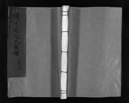 浙江施氏族谱-蟾河施氏大族谱 [按房分册].pdf电子版插图1