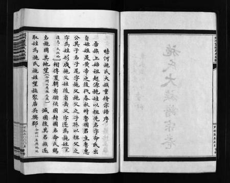 浙江施氏族谱-蟾河施氏大族谱 [按房分册].pdf电子版插图3