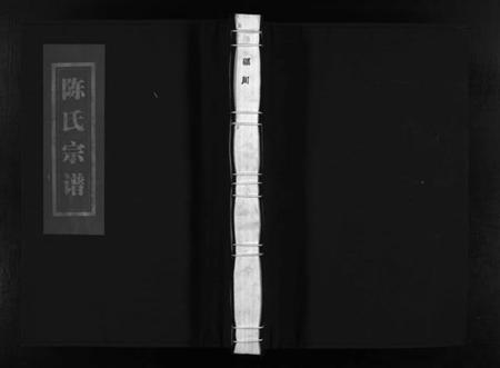浙江陈氏族谱-蛎川陈氏宗谱 [不分卷].pdf电子版插图1