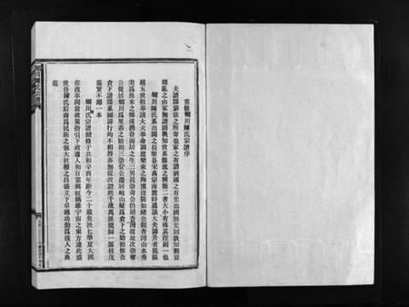 浙江陈氏族谱-蛎川陈氏宗谱 [不分卷].pdf电子版插图2