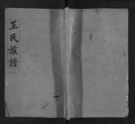 湖南王氏族谱-王氏族谱[1卷首1卷].pdf电子版插图