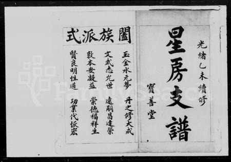 湖南王氏族谱-王氏星房支谱.pdf电子版插图2