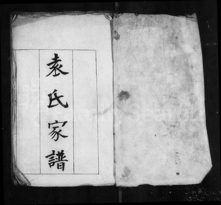 浙江袁氏族谱-袁氏家谱.pdf电子版插图4