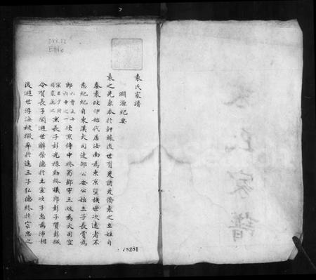 浙江袁氏族谱-袁氏家谱.pdf电子版插图5
