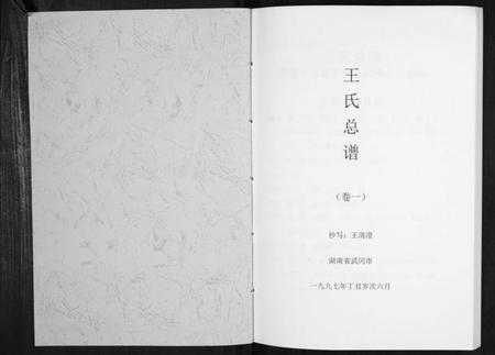 湖南王氏族谱-王氏总谱.pdf电子版插图1