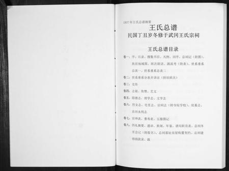 湖南王氏族谱-王氏总谱.pdf电子版插图2