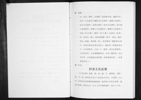 湖南王氏族谱-王氏总谱.pdf电子版插图3