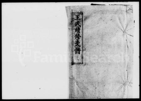 湖南王氏族谱-王氏续修支谱.pdf电子版插图1