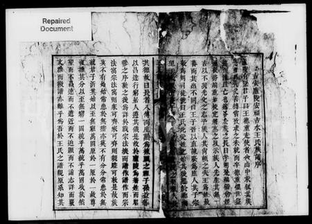 湖南王氏族谱-王氏续修支谱.pdf电子版插图2