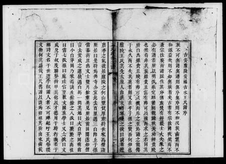 湖南王氏族谱-王氏续修支谱.pdf电子版插图4