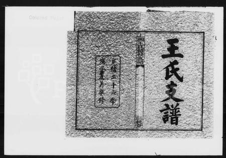 湖南王氏族谱-王氏续修支谱 [6卷,首2卷].pdf电子版插图2