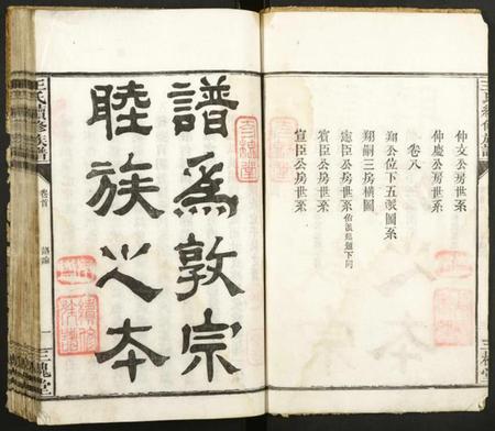 湖南王氏族谱-王氏续修族谱.pdf电子版插图4