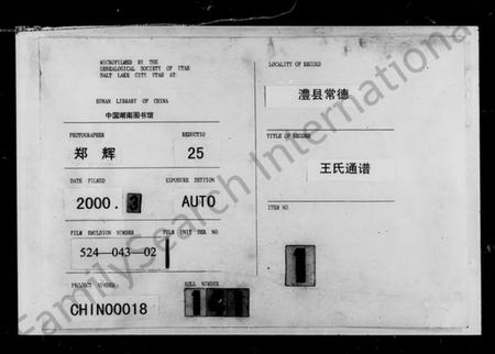 湖南王氏族谱-王氏通谱 [上下卷].pdf电子版插图
