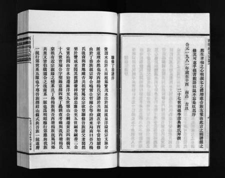 浙江杨氏族谱-西塘杨氏宗谱 [4卷].pdf电子版插图4