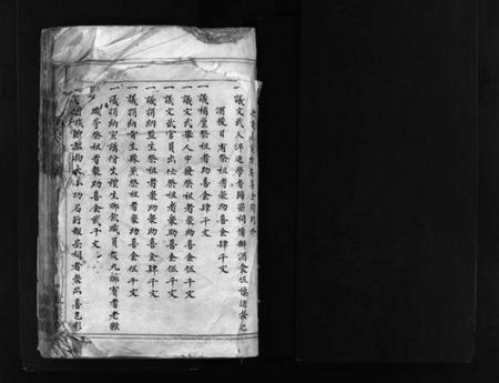 浙江李氏族谱-西朱李氏宗谱 [不分卷].pdf电子版插图2