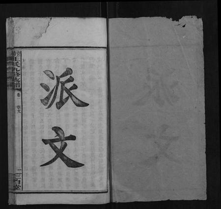 湖南王氏族谱-资阳王氏九修支谱.pdf电子版插图1