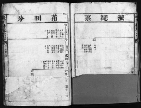 浙江林氏族谱-西河郡巉川林氏宗谱 [9卷].pdf电子版插图2