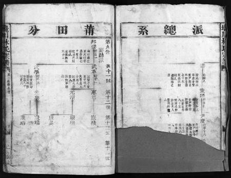 浙江林氏族谱-西河郡巉川林氏宗谱 [9卷].pdf电子版插图3