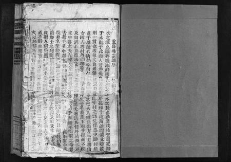 浙江林氏族谱-西河郡巉川林氏宗谱 [9卷].pdf电子版插图2