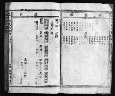 浙江林氏族谱-西河郡巉川林氏宗谱 [残卷].pdf电子版插图2