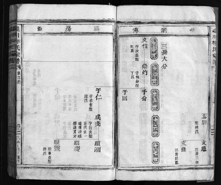 浙江林氏族谱-西河郡巉川林氏宗谱 [残卷].pdf电子版插图3