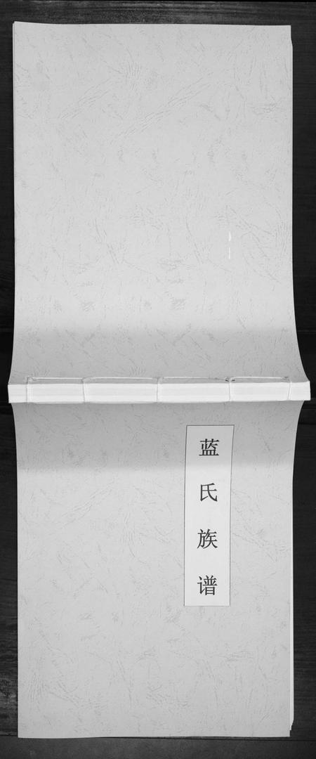 江苏蓝氏族谱-蓝氏族谱[不分卷].pdf电子版插图