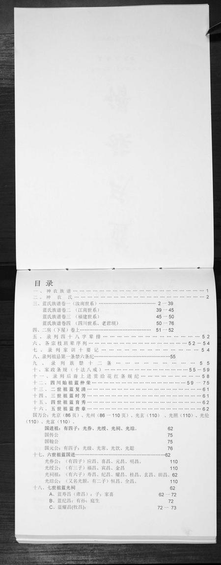 江苏蓝氏族谱-蓝氏族谱[不分卷].pdf电子版插图2