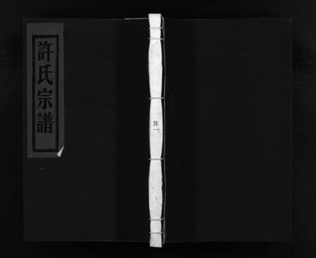 浙江许氏族谱-许氏宗谱 [不分卷].pdf电子版插图1