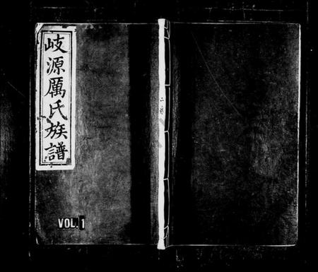 江西厉氏族谱-岐源厉氏族谱 [2卷].pdf电子版插图1