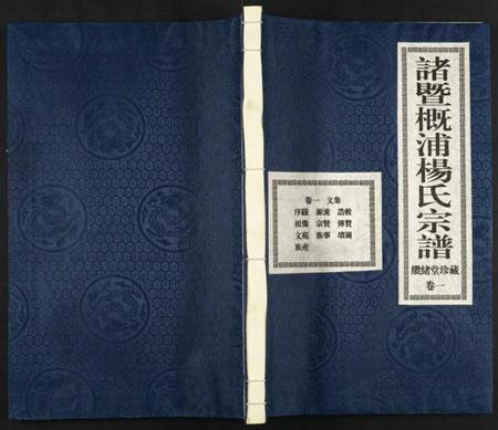 浙江杨氏族谱-诸暨概浦杨氏宗谱.pdf电子版插图