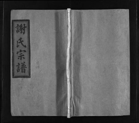 浙江谢氏族谱-谢氏宗谱 [不分卷].pdf电子版插图1