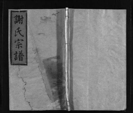 浙江谢氏族谱-谢氏宗谱 [不分卷].pdf电子版插图1