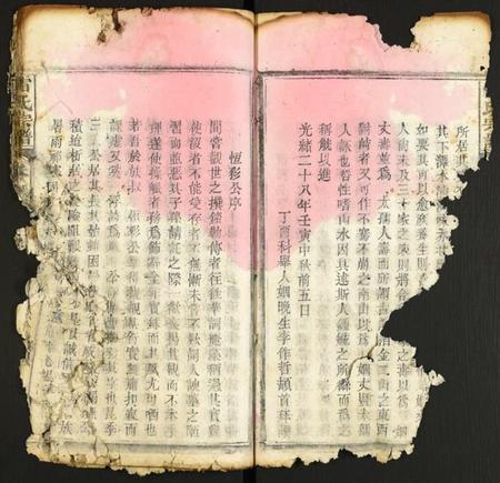 湖北雷氏族谱-雷氏宗谱.pdf电子版插图3