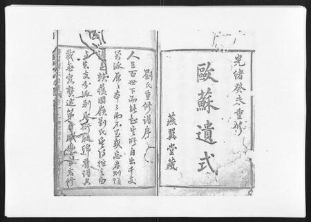 浙江刘氏族谱-护国刘氏宗谱[6卷].pdf电子版插图1