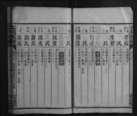 湖南文氏族谱-文氏族谱.pdf电子版插图3