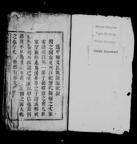 湖南文氏族谱-文氏重修族谱.pdf电子版插图2
