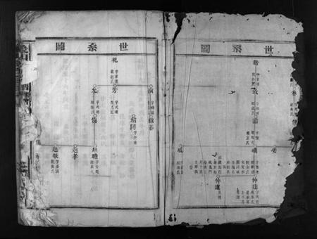 浙江石氏族谱-象山石氏宗谱 [不分卷].pdf电子版插图2