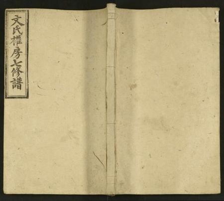 湖南文氏族谱-文氏权房七修谱 [125卷, 首1卷及其它卷].pdf电子版