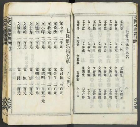 湖南文氏族谱-文氏七修宗谱 [残卷].pdf电子版插图3