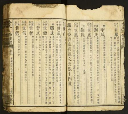 中国李氏族谱-李氏三修族谱.pdf电子版插图4